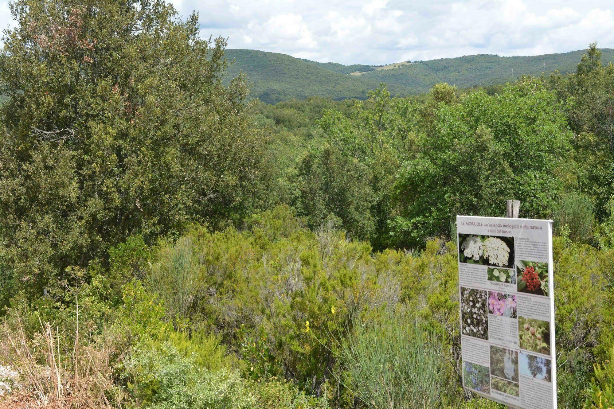 Borgo Le Moraiole Villa Massa Marittima Bagian luar foto
